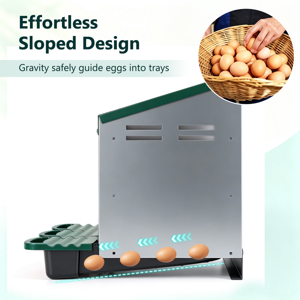Green 3-Compartment Metal Chicken Nesting Box with Egg Trays - Costway