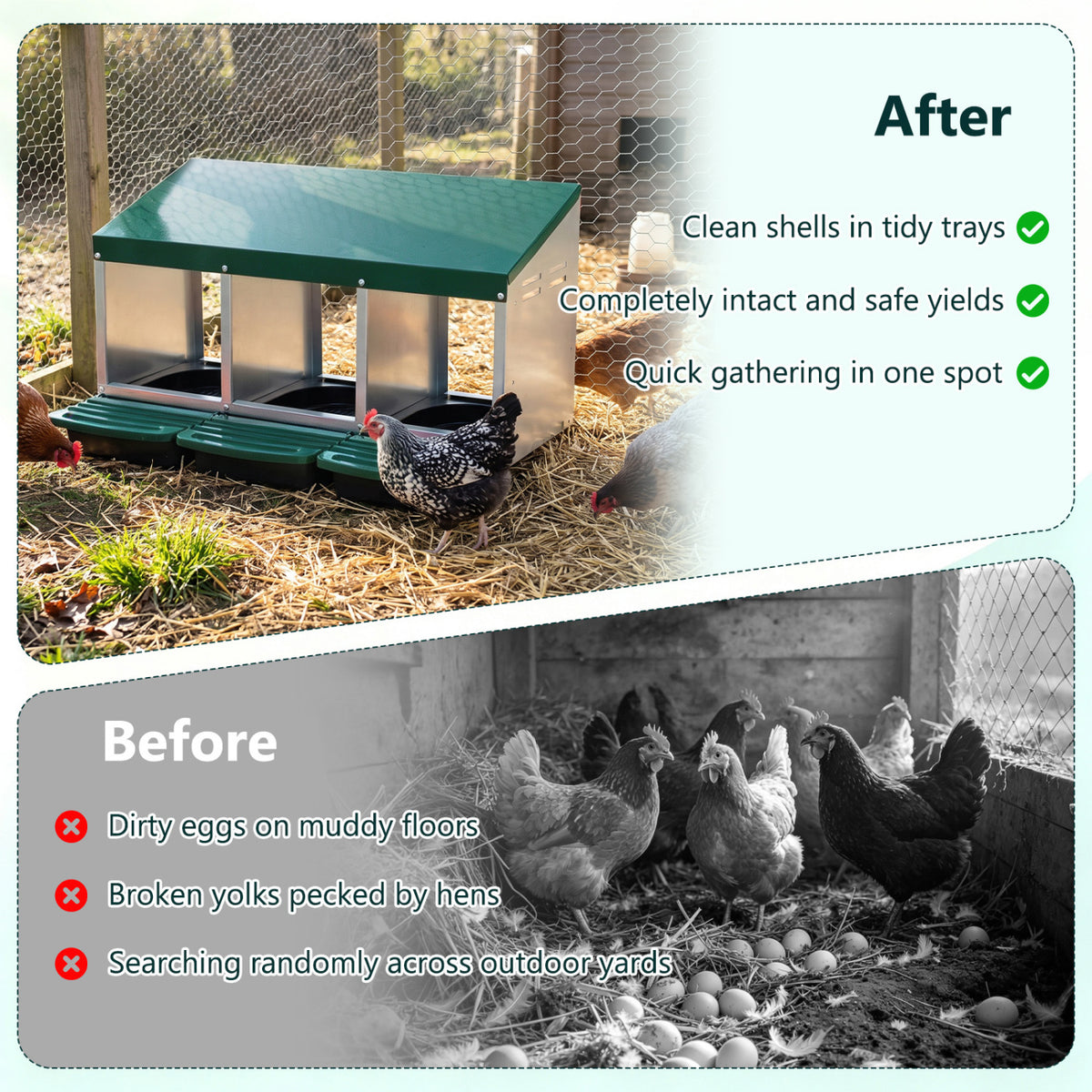 Green 3-Compartment Metal Chicken Nesting Box with Egg Trays - Costway