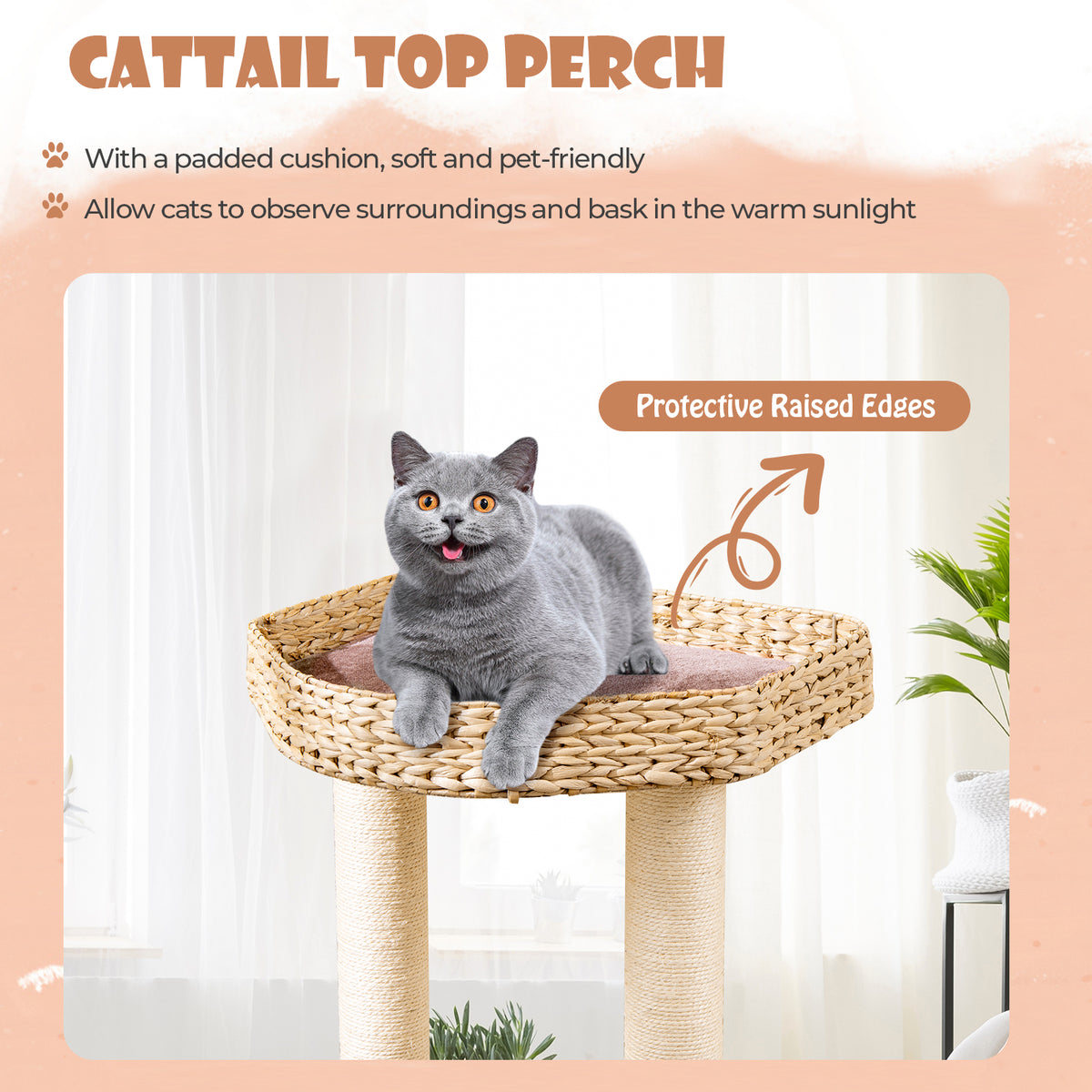 4-Layer Cat Tower with Scratching Posts and Washable Cushions - Coffee Variation