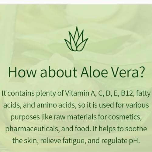 VENAMINE Korean Aloe Vera Soothing & Moisture 100% Gel Mist, 150 Gram