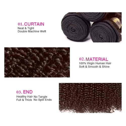 Condescension Brazilian Human Hair Bundles 10 12 14 Inch Jerry Curly 3 Bundles Human Hair 100% Unprocessed Remy Brazilian Virgin Weave Hair Chocolate Brown 4 for Women