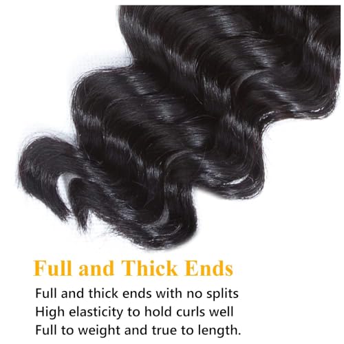 QTHAIR 16A Brazilian Loose Deep Wave Bundle 100% Unprocessed Bundles Brazilian Virgin Loose Deep Curly Human Hair Weave Wet and Wavy Curly Hair1 Bundle 12inch Human Hair