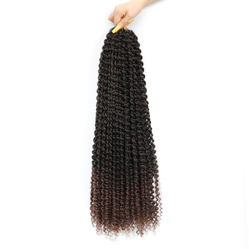 Alrence Passion Twist Hair 24 Inch 8 Packs Water Wave Crochet Hair Curly Braiding Hair For Butterfly Locs Long Bohe Crochet Braids (24 Inch (Pack of 8), 1B/33)