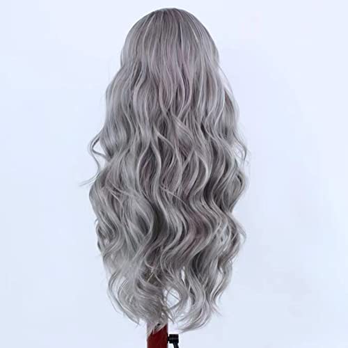 RONGDUOYI 24Inch Grey Mixed White Natural Wave Wig for Women Highlight Lace Front Wig with Natural Hairline Free Part Synthetic Daily Wear Wig