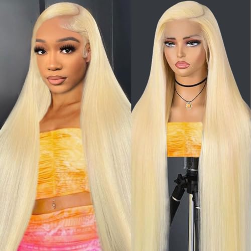 28 Inch 613 13x6 Lace Front Wig Human Hair 200 Density Straight 13x6 HD Lace Front Wigs Human Hair Pre Plucked 613 Blonde HD Lace Frontal Glueless Wigs for Women
