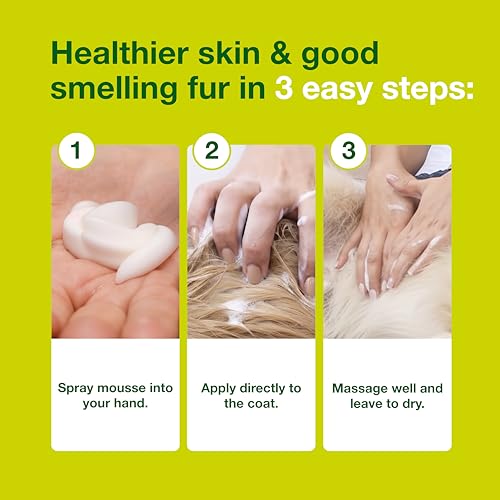 Douxo S3 Seb Mousse, Contains 0.5% Ophytrium, Odor Control & Seboregulating, For Oily to Flaky Skin, Seborrhea, For Dogs and Cats, 5.1 fl. oz. (150mL)
