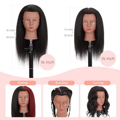 Mannequin Head 100% Real Human Hair 16", Mannequin Head Human Hair Cosmetology Doll Head for Hair Styling, Manikin Head for Braiding With Clamp Holder