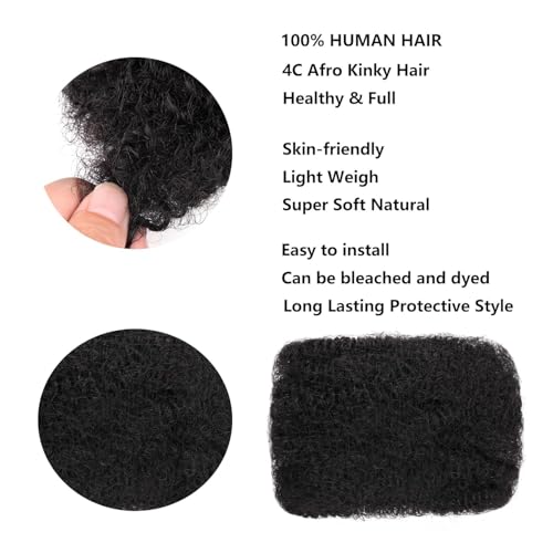 Afro Kinkys Bulk Human Hair 24 Inch 100g Nature Black Afro Kinky Curly Human Hair Bulk for Dreadlock Extensions Micro Locs Braiding Twists Braids and Repair Locs