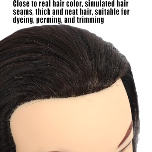 Male Mannequin Head with Beard 100% Human Hair Haircut Manikin Head for Cosmetology Straight Thick Hair Doll Head with Human Hair with Stand Practice Cutting Styling