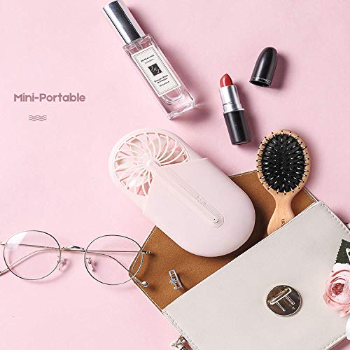 URTHEONE 6 Pcs Hair Brush Mini Boar Bristle Hairbrush, Pocket Travel Small Paddle Hair Brush for Men Women Kids Thick Curly Thin Long Short Wet or Dry Hair Detangle Massage Add Shine