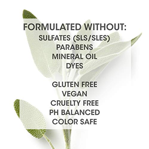 SEVEN Hair Care Cubica Clarifying Shampoo for Women & Men, Detox and Minimize Dry Scalp + Buildup with Rosemary, Eucalyptus & Rose Hip Oil, Cruelty Free, Sulfate Free, Made in USA
