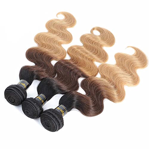 Shining Girl 12A Ombre Body Wave Bundles With Closure Brazilian Virgin Remy 100% Human Hair Ombre 3 Tone T1B/4/27 Color Human Hair Extensions 3 Bundles with 4x4 Lace Closure (18 20 22+16, 1B#/4#/27#)
