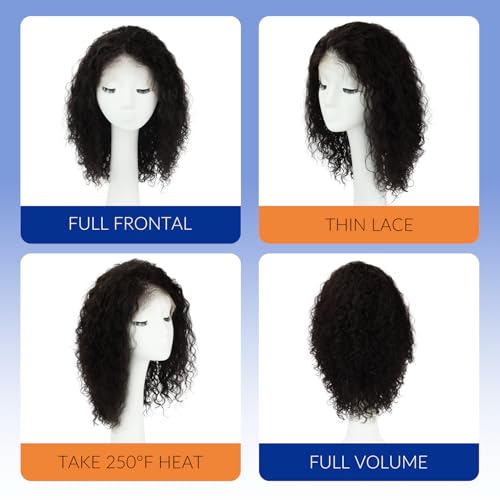 WORLDSTAR Lace Front Wigs Human Hair Water Wave Wigs for Black Women Curly Natural Black 14 Inch 120G Human Hair Wig Natural Baby Hair 100% Unprocessed Human Hair 13x4 Free-Style Parting (wig#B-533)