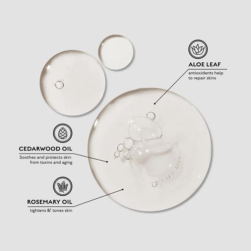 Caswell-Massey All-in-1 Body Wash, Use as a Face Wash, Beard Wash, Shampoo, Body Wash & Shave Gel, Signature Heritage Soap for Men, Made in USA, 32 Fl Oz