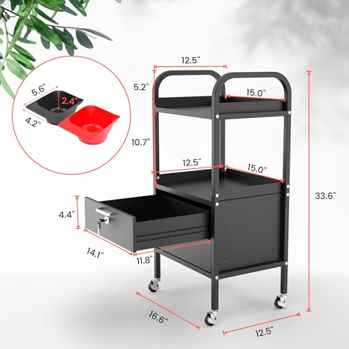 TASALON Metal Salon Rolling Cart with Lockable Drawers & Wheels ? 4-Tier Hair Stylist Tool Storage Trolley, Barber & Esthetician Station Organizer, Beauty Salon Equipment & Spa Storage Cabinet