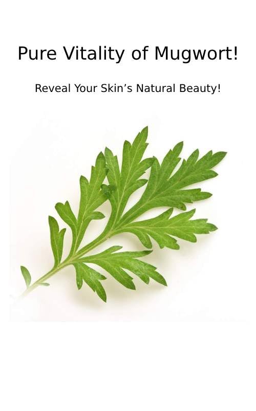 CHARMZONE Mugwort Skin The Original 4.06oz - Made with Mugwort Extract, Refreshing and Nourishing for Hydrated Skin