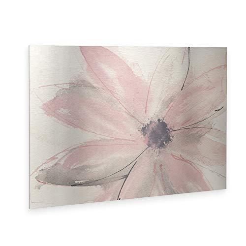 Trademark Fine Art ' Blush Clematis I ' Floating Brushed Aluminum Art by Chris Paschke 16x22