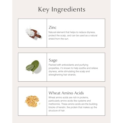 John Masters Organics Scalp Conditioning Shampoo 16 oz |70%+ Organic Ingredients |Anti-Dandruff | Dry Scalp