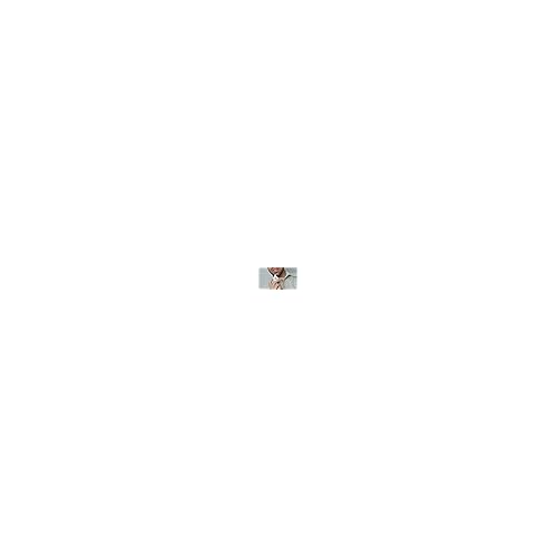 The Ordinary Squalane + Amino Acids Hydrating Lip Balm, for Lips, Elbows, and Cuticles, 0.5 Fl Oz