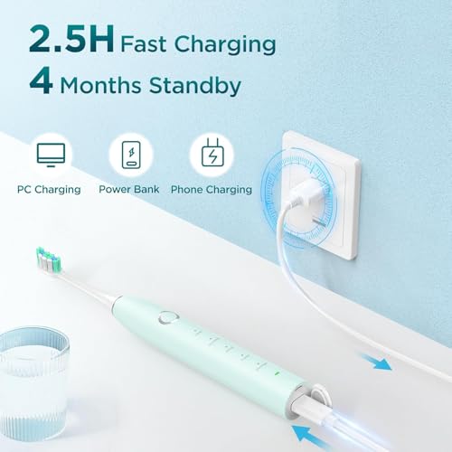 Fronix Electric Toothbrush for Adults with 8 Brush Heads, Sonic Toothbrush Rechargeable with a Holder & Travel Case, 2.5 Hours Charge for 120 Days Use - Light Green