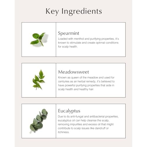 John Masters Organics Scalp Stimulating Shampoo 16 oz | Organic Spearmint & Meadowsweet | 70% Organic Ingredients | Clarifying Shampoo | Improve Scalp Health | Sulfate-free, 16 Fl Oz