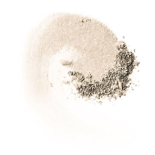 MAC Studio Fix Pro Set + Blur Weightless Loose Powder - Light (Light beige with neutral undertone) - 0.22 oz / 6.5 g