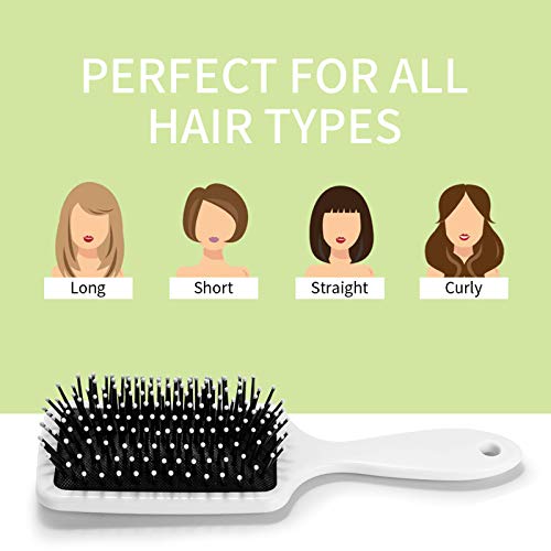 Dinosaur Cute Boys Anti-Static Toddler Comb Hair Brush with Air Cushion Detangler for Adults & Kids
