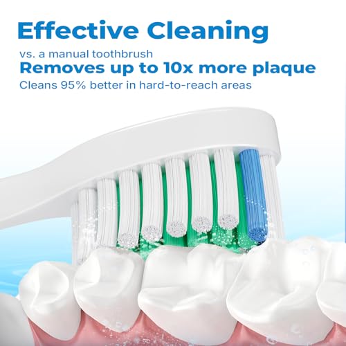 Replacement Toothbrush Heads for Philips Sonicare, Electric Toothbrush Head C1 Compatible with 1100/4100/5100/5300/6100/7500/9300 and More Click-on Handles, 4 Pack