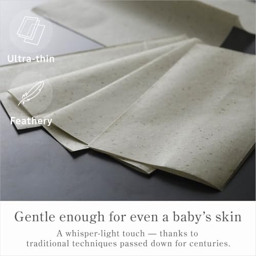 Oil Blotting Paper 100 Sheets, Pack of 1 ? Premium Green Tea Face Blotting Sheets, Oil Absorbing Tissues in Japanese Washi, Easy-Dispense Pack, Made in Japan, Oily Skin Care & Makeup Essential