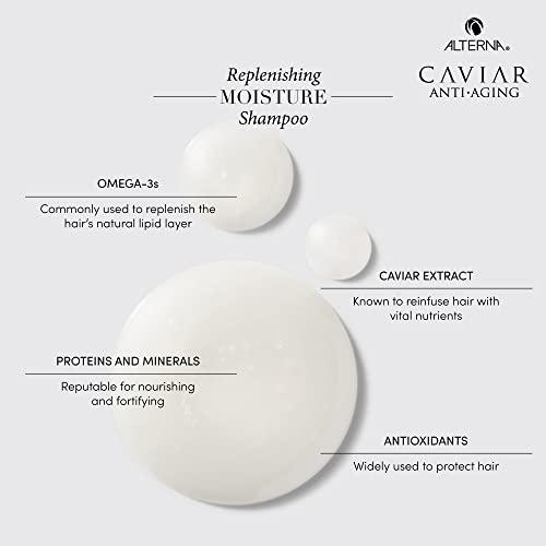 Alterna CAVIAR Anti-Aging Replenishing Moisture Shampoo | For Dry, Brittle Hair | Protects, Restores & Hydrates | Sulfate Free