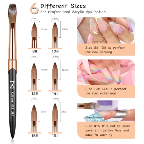 M ? Regal 100% Kolinsky Acrylic Nail Brush | Professional Acrylic Nail Sculpting & Application Brush | Premium Nail Art Tool for Nail Technicians & Artists (#10)