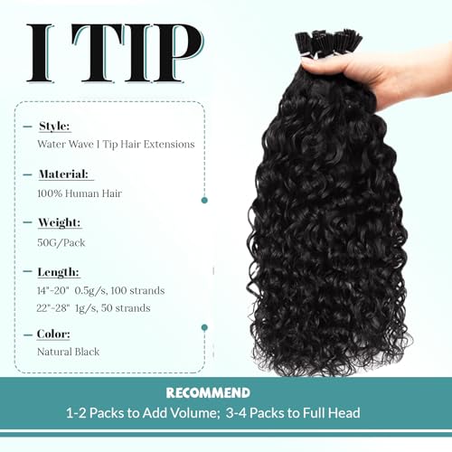 Water Wave Itip Human Hair Extensions 14 Inches Cold Fusion Hair Piece 100 Strands/Pack Curly Pre Bonded Keratin Stick Tipped Hair Extensions for Women I Tip Extensions Human Hair