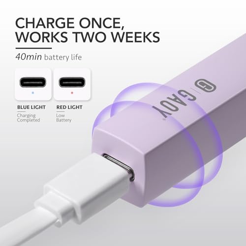 GAOY Handheld UV Light for Gel Nails, Mini Nail Lamp, Portable Cordless Rechargeable, Fast Curing, Pale Purple