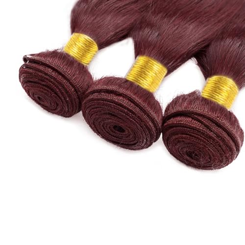Burgundy Human Hair Bundles 99J Straight Bundles Brazilian Unprocessed Virgin Hair 3 Bundles 18 18 18 Inch Wine Red Straight Human Hair Bundles 99J Burgundy Bundles Hair Weave