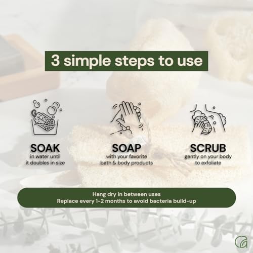 Chill Ah Green Glow Loofah Sponge Set ? 100% Plant-Based, Dye-Free, Biodegradable, Scratch-Free, Handcrafted in Vietnam (2-Pack)