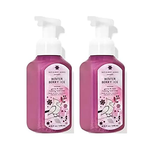 Bath and Body Works Gentle Foaming Hand Soap 8.75 Ounce 2-Pack (Winterberry Ice)