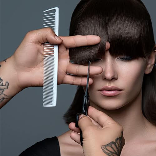 Fromm Dare 5.75" 1-Piece Precision Slide and Point Hair Cutting Shears with Semi-Convex Blade for Expert Salon Stylists, Matte Black Japanese Steel Scissors