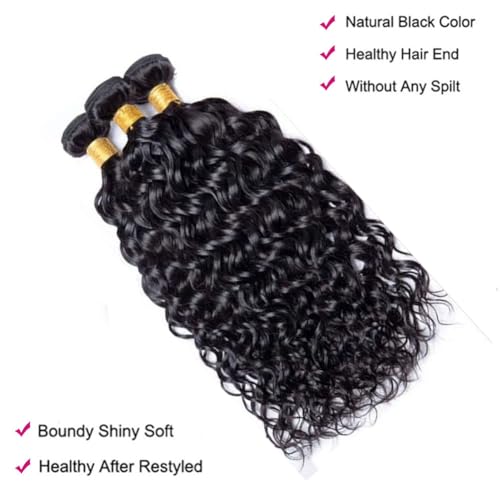 20 20 20 Inch Water Wave Bundles Human Hair 100% Unprocessed Curly Brazilian Virgin Hair Wet And Wavy 3 Bundles Human Hair Natural Black