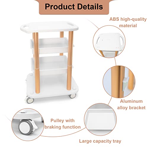 Beauty Salon Trolley Spa Styling Pedestal Rolling Cart Two Shelf ABS Aluminum Elitzia ETTROLLEY5 (Gold cart)