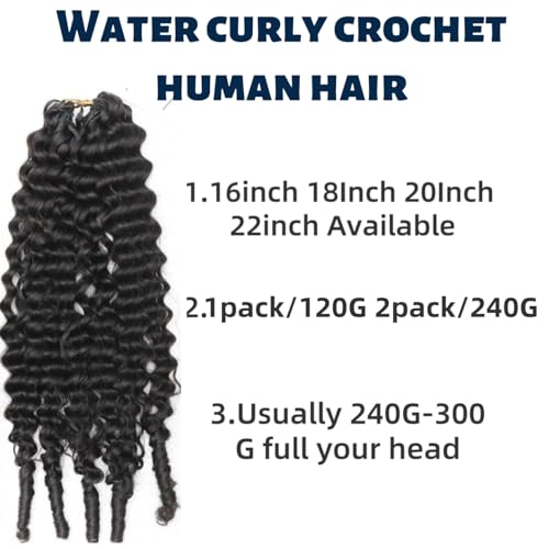 Knotless Pre-Separated Water Curly Human Hair Feather Crochet Hair Extensions Spirally Curly Classic Lightweight Reusable Crochet Hair Extensions Natural Color 20inch 120g