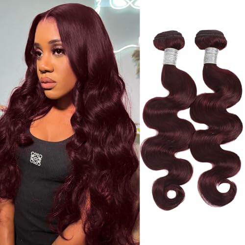 ALHER 99j Dark Burgundy Bundles Human Hair Body Wave, 12A 100% Unprocessed Virgin Remy Human Hair for Black Women Soft Thick Sew In Weave Wavy Wine Red Colored 2 Bundles 20 20 Inch