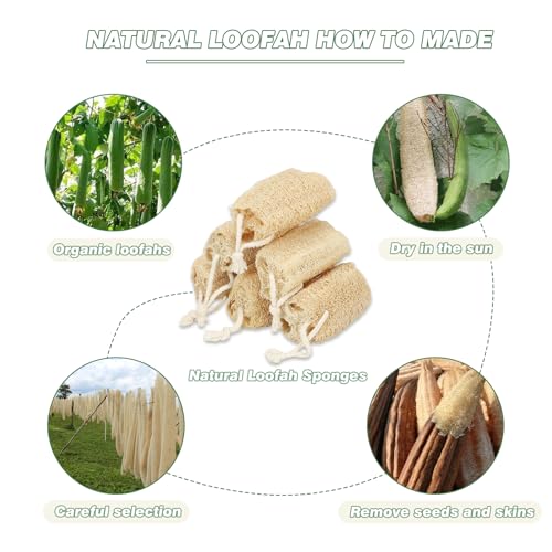 Natural Loofah Sponge Organic Loofa Set 6 Pack,Exfoliating Body Scrubber Shower Luffa Men and Women for Bath Cleaning Skin Back and Face Eco Tool