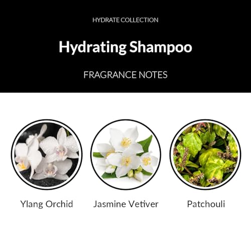 Number 4 Hydrating Shampoo, Shampoo for Women and Men. Sulfate, Gluten, & Paraben Free. Moisturizing & Color Protecting, 25 oz