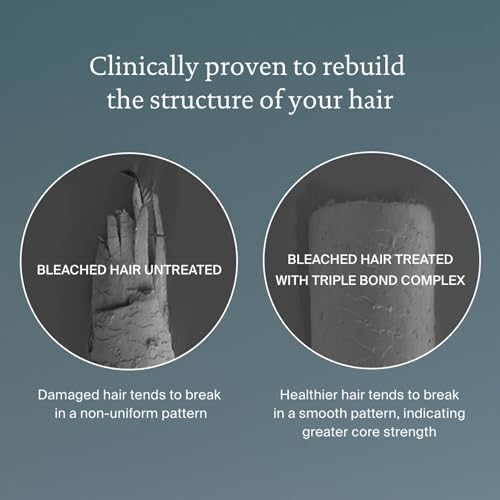 Living Proof Triple Bond Complex Leave-In Treatment and Hair Mask