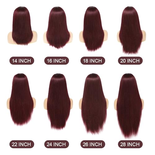 REMY HAIR 13x4 Lace Front Wigs 99J Burgundy Lace Front Wigs Pre Plucked Red Wig with Baby Hair, Straight Red Lace Front Wigs Human Hair for Black Women 150% Density (20 Inch)