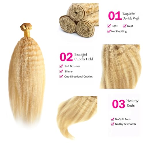 P27/613 Honey Blonde Bundles Yaki Straight Bundles Human Hair 12 14 16 Inch 3 Bundles Human Hair Unprocessed Brazilian Virgin Weave Hairs Highlight Blonde Extensions 50 Gram Per Bundle
