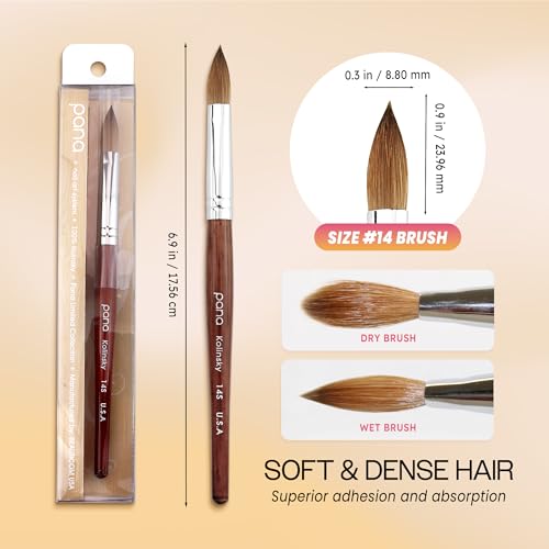 PANA Pure Kolinsky Hair Acrylic Nail Brush - Oval Crimped Shape Silver Ferrule with Mahogany Wood Handle (Size 14)