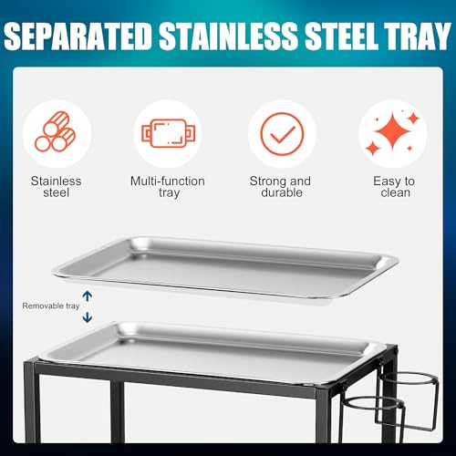 POARMEEY 2-Tier Tattoo Rolling Trolley Holder,Tray Cart on Wheels with Removable Stainless Steel Tray,Tool Storage Layer for Tattoo Salon Spa Clinics Office Home Use