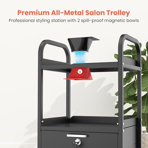 TASALON Metal Salon Rolling Cart with Lockable Drawers & Wheels ? 4-Tier Hair Stylist Tool Storage Trolley, Barber & Esthetician Station Organizer, Beauty Salon Equipment & Spa Storage Cabinet
