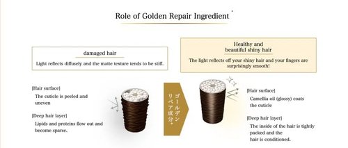 Premium EX Set - Tsubaki Premium Ex Intesive Repair Shampoo and Conditioner 400ml+400g